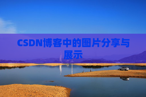 CSDN博客中的图片分享与展示